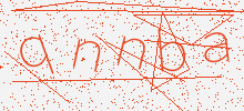 captcha verification